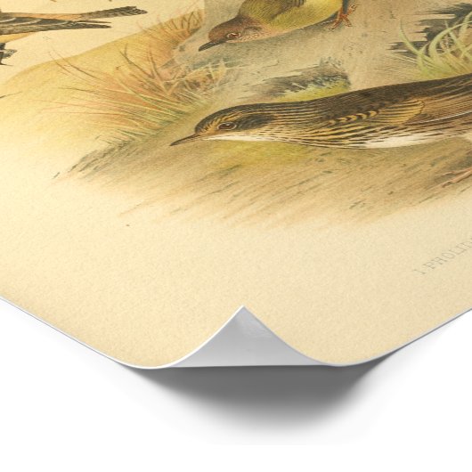  Bird Yellow Brown Print (Hoek)