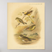  Bird Yellow Brown Print (Voorkant)