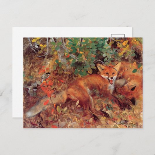  Bird Yellow Bruno Liljefors Foxes Briefkaart (Voorkant / Achterkant)