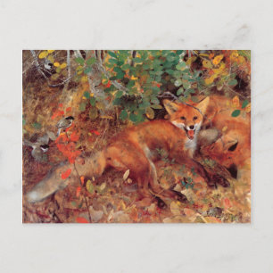  Bird Yellow Bruno Liljefors Foxes Briefkaart