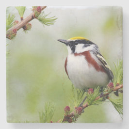 Bird yellow _coaster stenen onderzetter