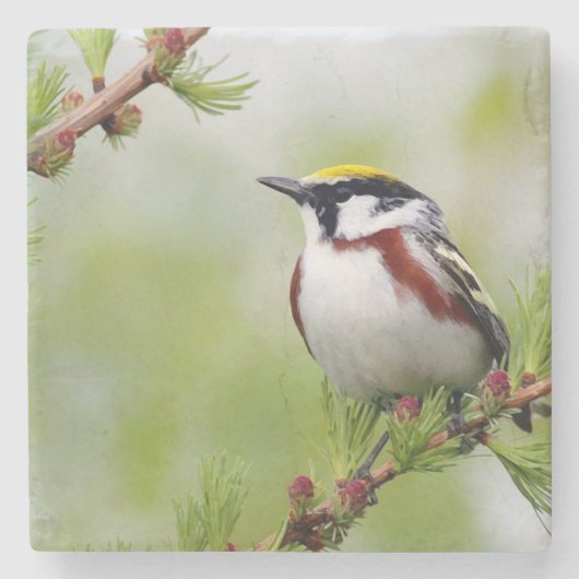 Bird yellow _coaster stenen onderzetter (Voorkant)