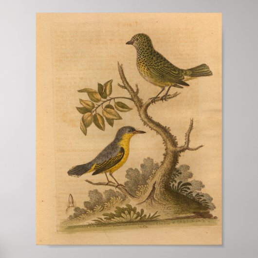 Bird Yellow Green Print (Voorkant)