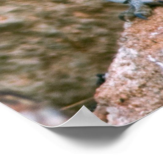 , BIRD YOGA POSTER (Hoek)