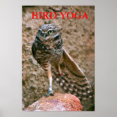 , BIRD YOGA POSTER (Voorkant)