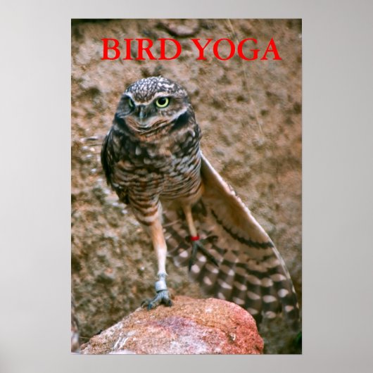 , BIRD YOGA POSTER (Voorkant)