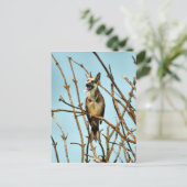 Birdagw Briefkaart (Staand voorkant)