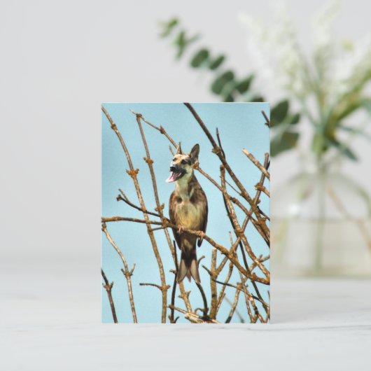 Birdagw Briefkaart (Staand voorkant)