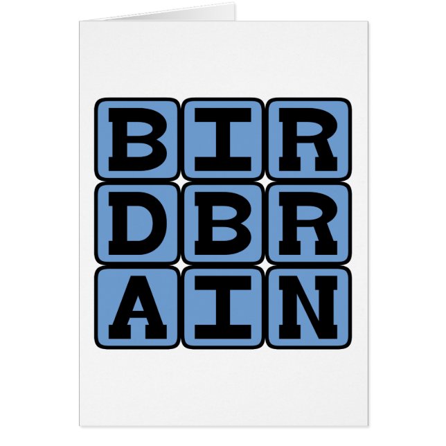 Birdbrain, Bird Watcher (Voorkant)