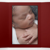 Birdcage 4 Fotocollage Baby Geboorte Drieluik Aankondiging (Binnenkant midden)