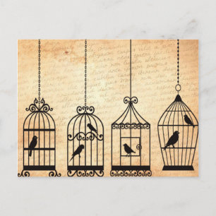 Birdcage Silhouettes Briefkaart