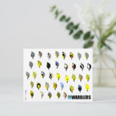BirdFace Warbler Briefkaart (Staand voorkant)