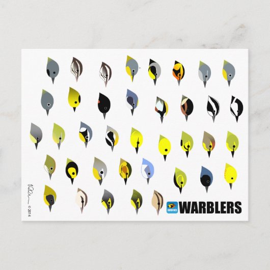 BirdFace Warbler Briefkaart (Voorkant)
