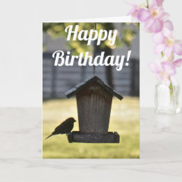 Birdfeeder Silhouette Birthday Card Kaart