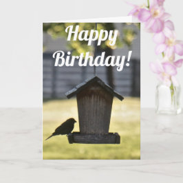 Birdfeeder Silhouette Birthday Card Kaart