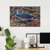 Birdhead Wrasse Poster (Thuiskantoor)