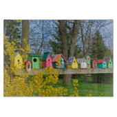 Birdhouse Boulevard Snijplank (Voorkant)