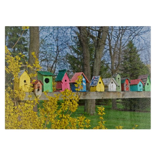 Birdhouse Boulevard Snijplank (Voorkant)