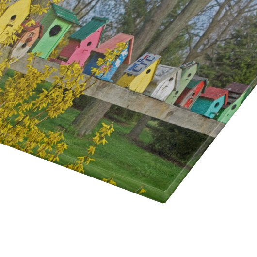 Birdhouse Boulevard Snijplank (Hoek)