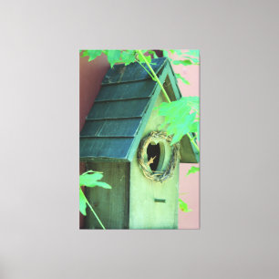 Birdhouse Canvas Kunst