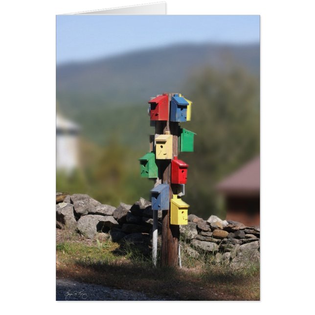 Birdhouse Condo (Voorkant)