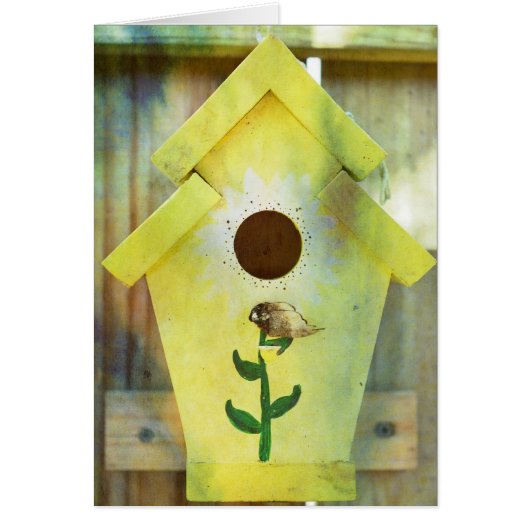 Birdhouse door Shirley Taylor (Voorkant)