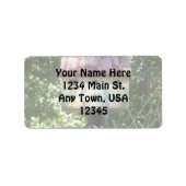 Birdhouse Etiket (Voorkant)