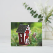 BirdHouse/Fågelhus Briefkaart (Staand voorkant)