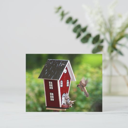 BirdHouse/Fågelhus Briefkaart (Staand voorkant)