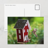 BirdHouse/Fågelhus Briefkaart (Voorkant / Achterkant)
