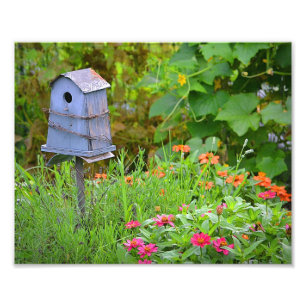 Birdhouse Foto Print Foto Afdruk
