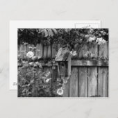 Birdhouse in de zomer briefkaart (Voorkant / Achterkant)