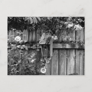 Birdhouse in de zomer briefkaart