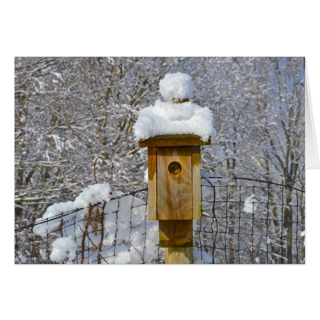 Birdhouse in Winter (Voorkant Horizontaal)