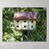 Birdhouse Poster (Voorkant)