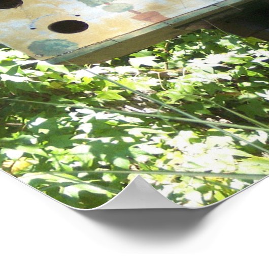 Birdhouse Poster (Hoek)