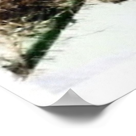 Birdhouse Poster (Hoek)