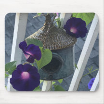 Birdhouse With Morning Glories Close-up