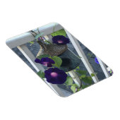 Birdhouse With Morning Glories Magnet Magneet (Rechterzijde)