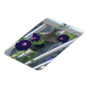 Birdhouse With Morning Glories Magnet Magneet (Linkerzijde)