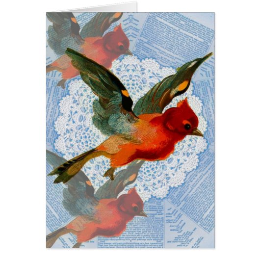 Birdie (Voorkant)