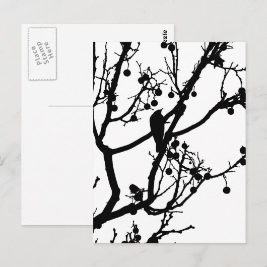 Birdie 4 briefkaart (Voorkant / Achterkant)