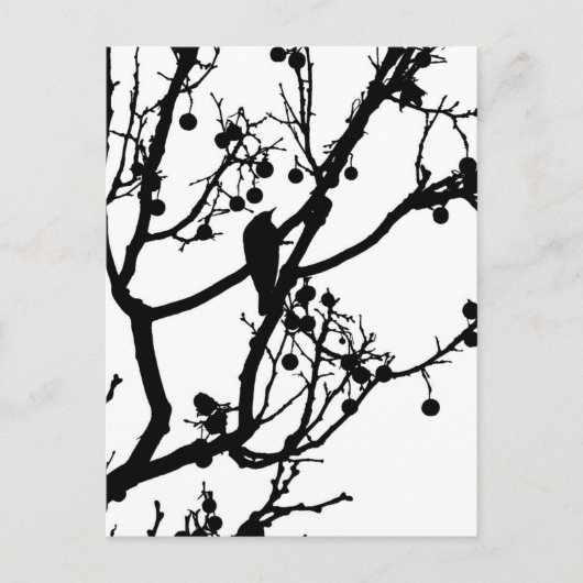 Birdie 4 briefkaart (Voorkant)