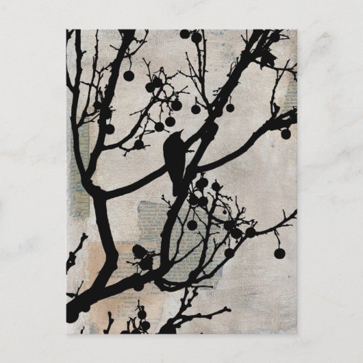 Birdie 6 briefkaart (Voorkant)