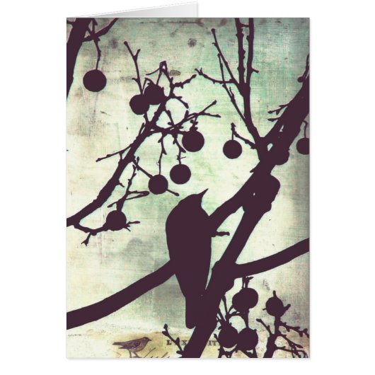 Birdie Alle Occasies (Voorkant)