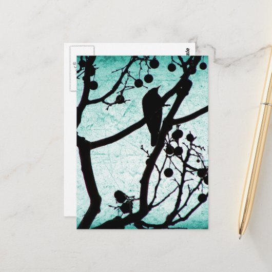 Birdie Briefkaart (Voorkant / Achterkant in situ)