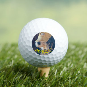 Birdie de Bernedoodle in geel golf pet Golfballen