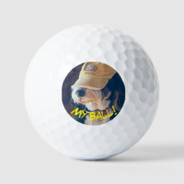 Birdie de Bernedoodle in geel golf pet Golfballen