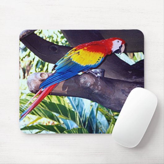 BIRDIE MUISMAT (Met muis)