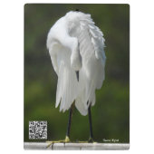 Birding.Afbeeldingen Klembord (Achterkant)